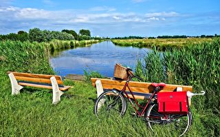 荷蘭的自行車與其他國家有何不同？