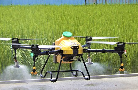 農噴無人機作業，5分地只要2人、10分鐘就完成，效率較地面人工拉管提升6倍。
