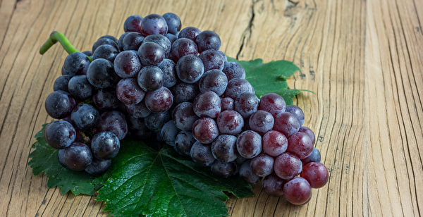葡萄集多种抗氧化物于一身，籽跟皮都吃进去才能摄取这些营养素。（shutterstock）