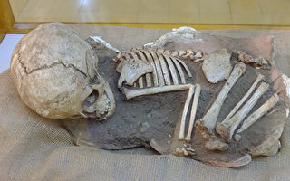 新发现25万年前儿童头骨 挑战人类起源认知