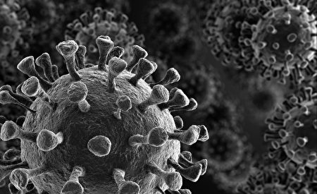 新冠新变种病毒——Omicron变种的突变程度前所未见，有三大原因令全球担忧。(Shutterstock)