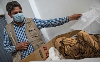 组图：秘鲁发现一具约800年历史木乃伊
