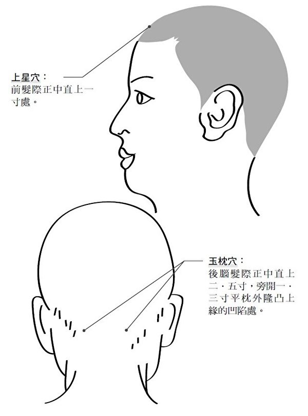 头部有多个穴道，经常按压有助恢复肌肤的光滑与弹性。（博思智库提供）