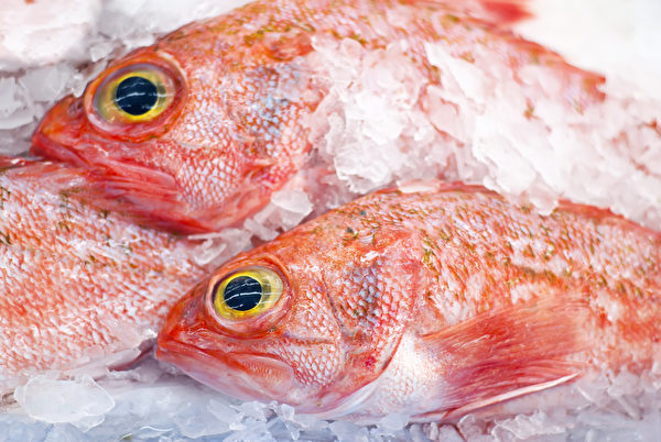 深海鲈鱼是低脂、高蛋白、高DHA的鱼类。(Shutterstock)