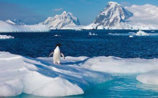 南极冰架下面发现77种生物