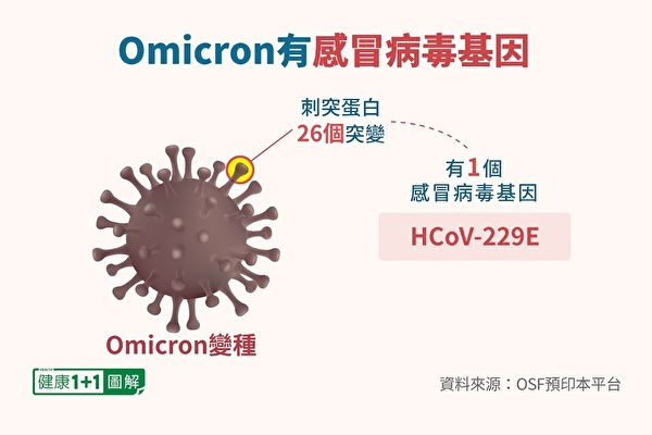 Omicron變種的26個刺突蛋白突變中，就包含感冒病毒基因。（健康1+1／大紀元）