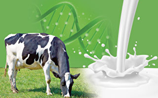 牛初乳營養健康好神速  專家教您選對正確的配方
