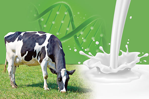 牛初乳营养健康好神速  专家教您选对正确的配方