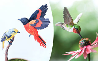 组图：用纸做成的鸟类雕塑 刻划生动逼真