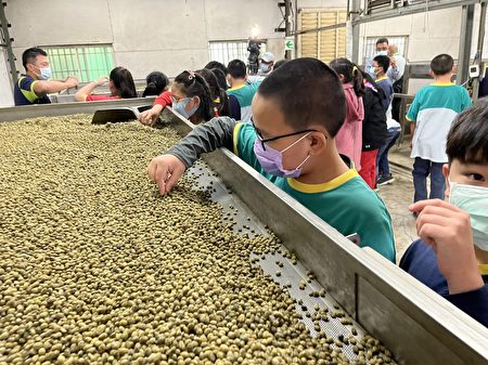 嘉义市兴安国小小朋友在义兴嘉酿的酱油体验园区认识酱油麹豆。