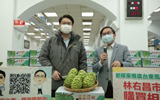 台東水果世界級品質  林右昌認購鳳梨釋迦