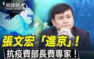 【微视频】张文宏“进京”中共抗疫坑多少专家