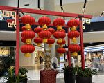 金虎生威 洛杉矶开启庆祝中国传统年活动