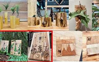 台湾木材展邀您欣赏木材之美