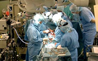 大陸器官移植量爆增 專家：不符合捐獻特徵