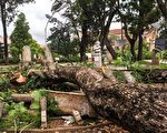 强烈气旋袭马达加斯加 致10死数万人流离失所