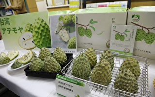 遭中共暂停进口 台湾水果进军日本实体市场