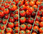 15萬個番茄翻落80號高速公路 一度阻斷交通