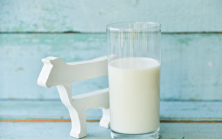 婴幼儿喝牛奶，会增加一型糖尿病的风险。（Shutterstock）