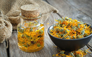 金盏花是最舒缓的草药之一，有很好的保护皮肤、消炎的功效。(Shutterstock)