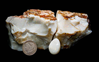 世界罕见蛋白石以高价拍出 比砖块还大