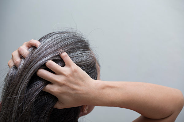 越来越多人有提早长白发、头皮出油、掉发等问题。(Shutterstock)