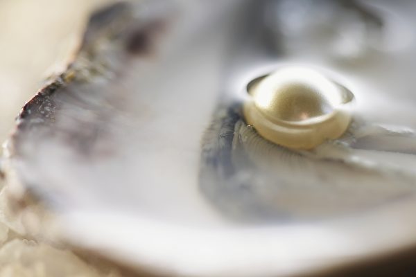 美国男子吃蛤蜊吃出珍珠 价值或有数千美元
