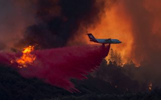 克利夫兰国家森林野火继续燃烧