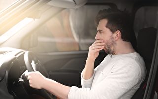 研究：大麻對駕車能力的影響可長達4小時