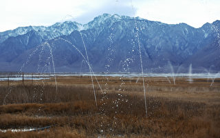 加州乾旱狀況還在加劇 供水大幅削減