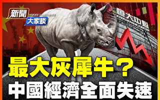 【新聞大家談】最大灰犀牛？中國經濟全面失速