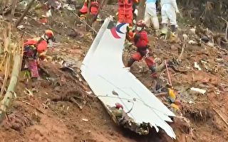 東航空難132人遇難 目擊者憶飛機墜地前瞬間