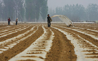 农业问题层出不穷 中国粮食供应受威胁