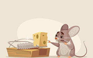 職場管理小故事：解決辦公室的鼠患