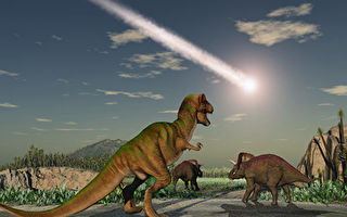 新发现恐龙腿化石 它或死于小行星撞击当天