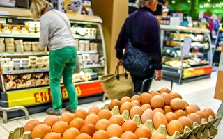 禽流感和乌克兰战争推高全球鸡蛋价格