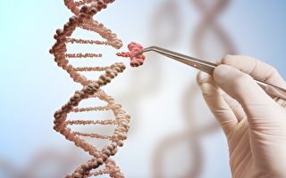 基因治療被認爲是醫療大突破，卻也被稱為是「打開了潘多拉魔盒」。（Shutterstock）