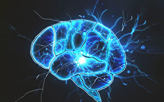 一些無腦人可以正常生活，大腦究竟如何運作的？(Shutterstock)