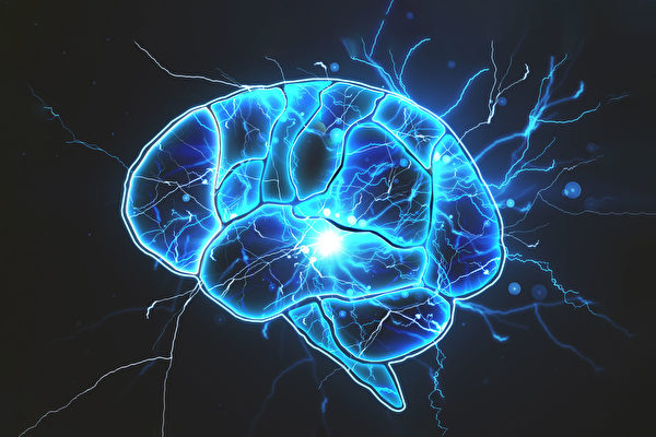 一些无脑人可以正常生活，大脑究竟如何运作的？(Shutterstock)