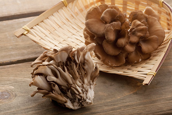 舞菇在日本医学中很受欢迎。(Shutterstock)