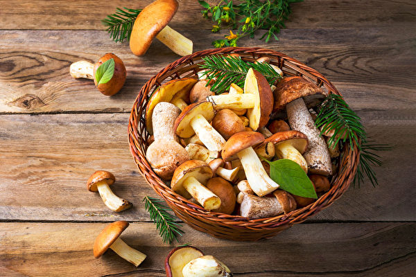 蘑菇在医学上的应用有着悠久的历史，研究人员正在继续探索这些美味真菌的新功效。(Shutterstock)