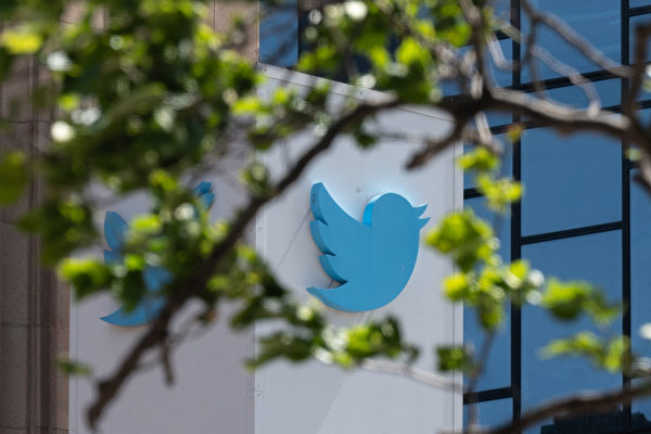 推特CEO称难在外部审查假账号 马斯克质疑