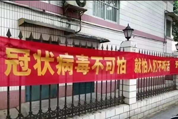 郝平：北京議「扁鵲」上海現「賈慶林」 習仍被騙？