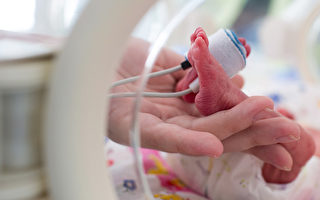 医生建议放弃治疗被父母拒绝 早产17周婴儿幸存