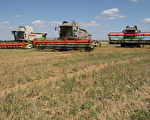 波匈兩國禁烏克蘭穀物 歐盟警告勿單邊行動