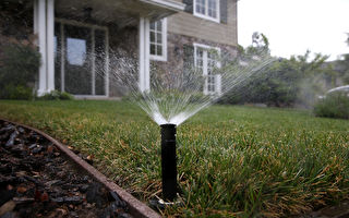 洛水电局发布节水令 住家每周限浇水两次