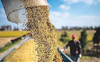 加国将派船至罗马尼亚 帮助乌克兰小麦出口