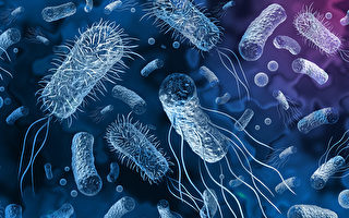比單用抗生素有效？科學家發明抗超級細菌新方法