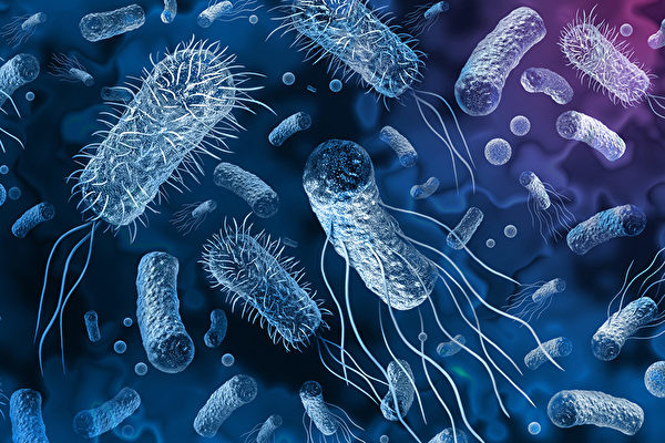 一種療法可能是治療耐藥菌的最有效方法——噬菌體和抗生素的組合治療。(Shutterstock)