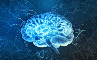 记忆力下降4大原因 6招健脑 逆转大脑老化